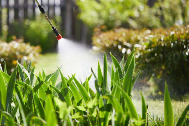 24/7 Emergency Mosquito Control experts in Drexel, OH